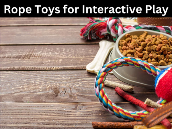 Rope Toys for Interactive Play